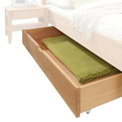 Bettkasten Ontario_201