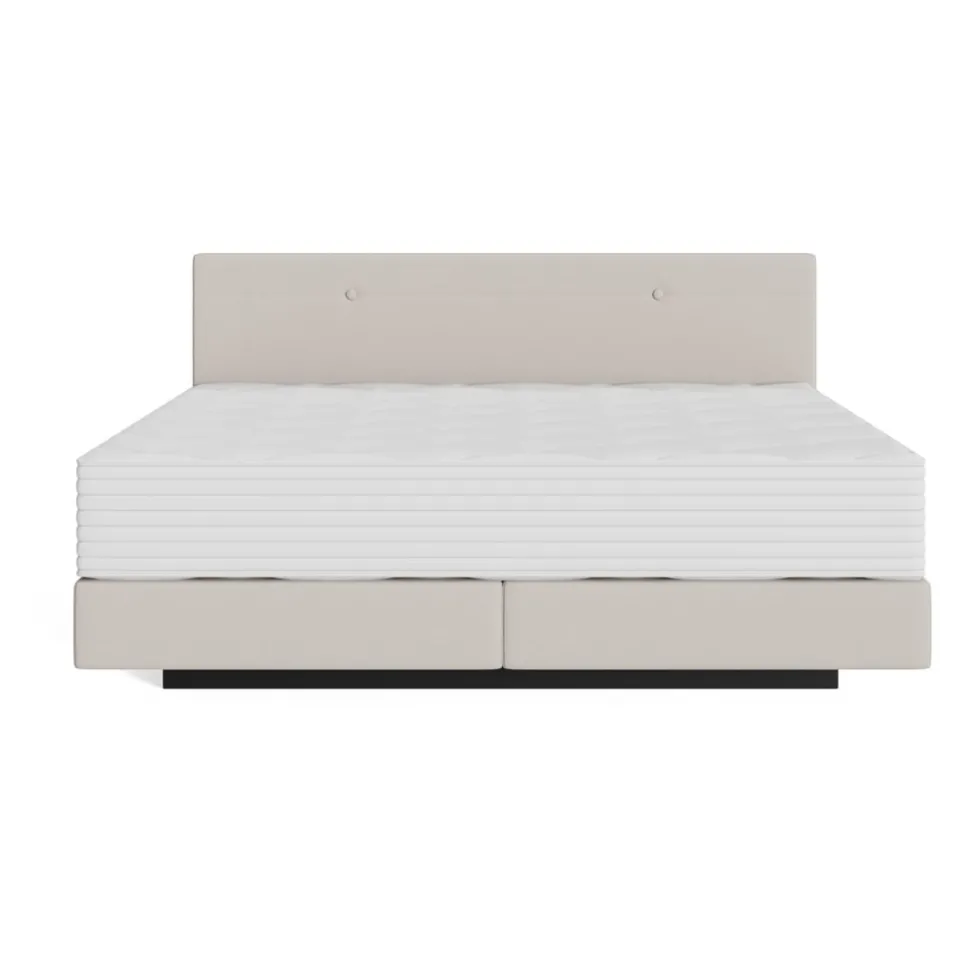 Boxspringbett Aurora