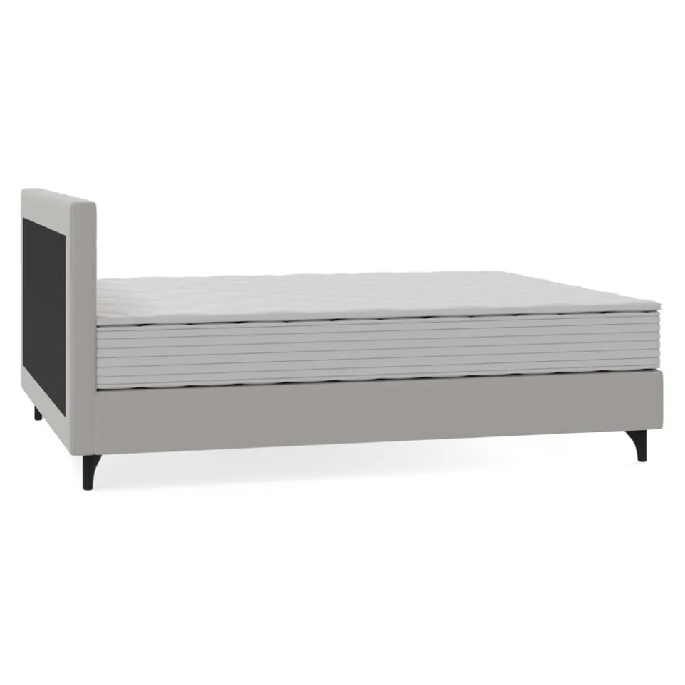 Boxspringbett Aurora