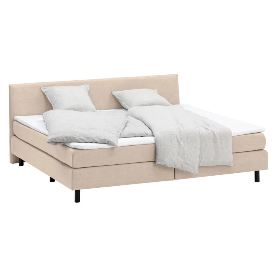 Boxspringbett FAMILY-231