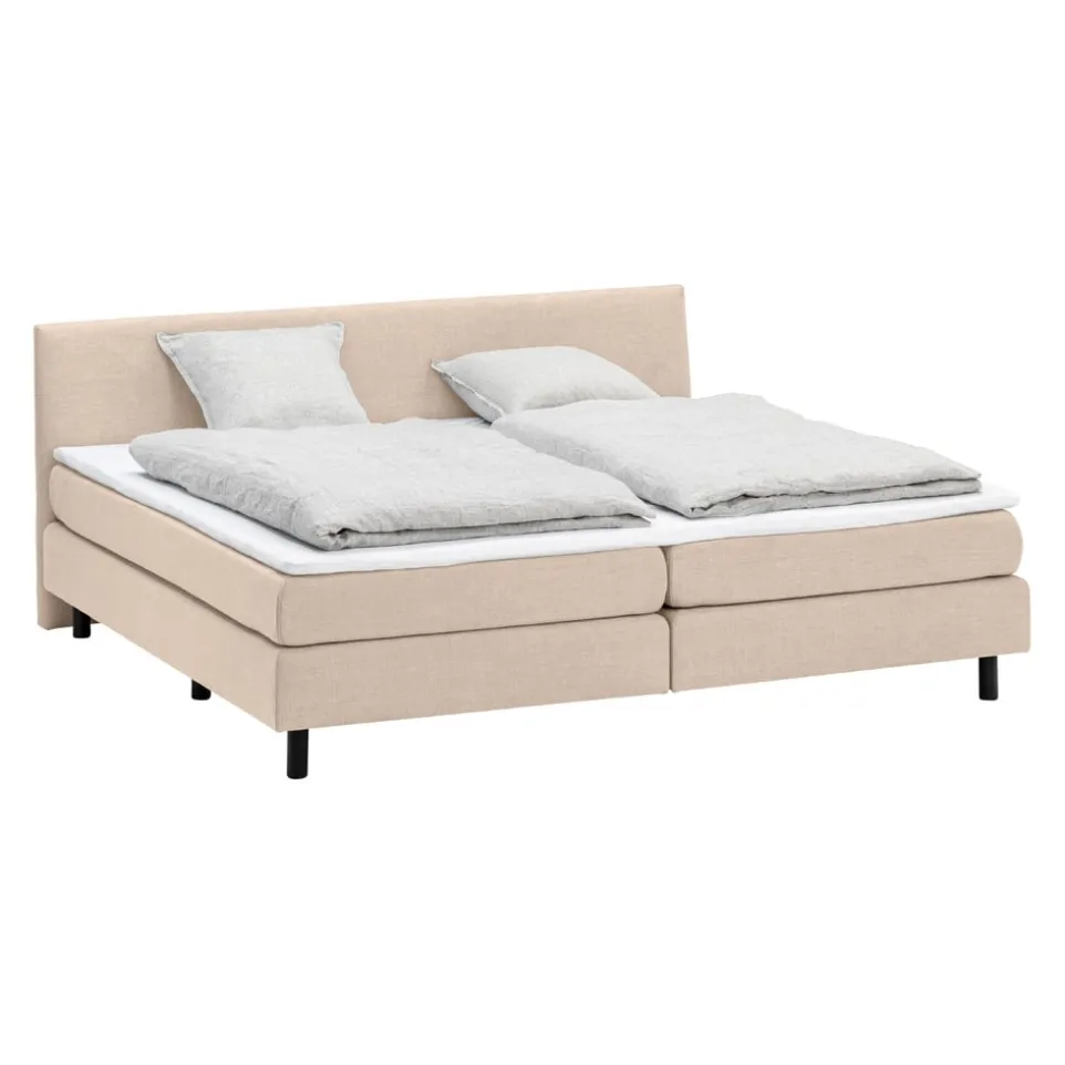 Boxspringbett FAMILY-231