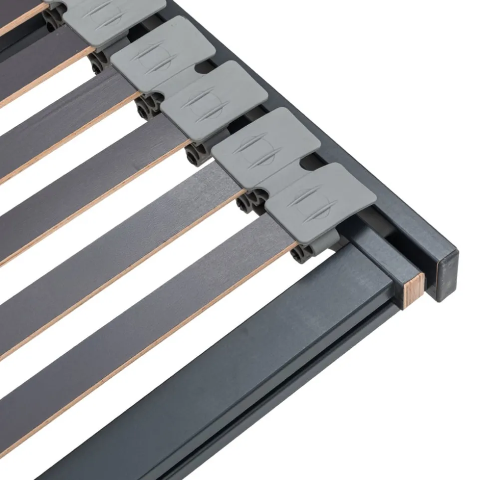 Einlegerahmen Luna-Sano 2M