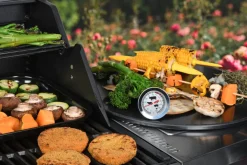 Fleischthermometer Analog