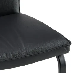 Freischwinger Darling S