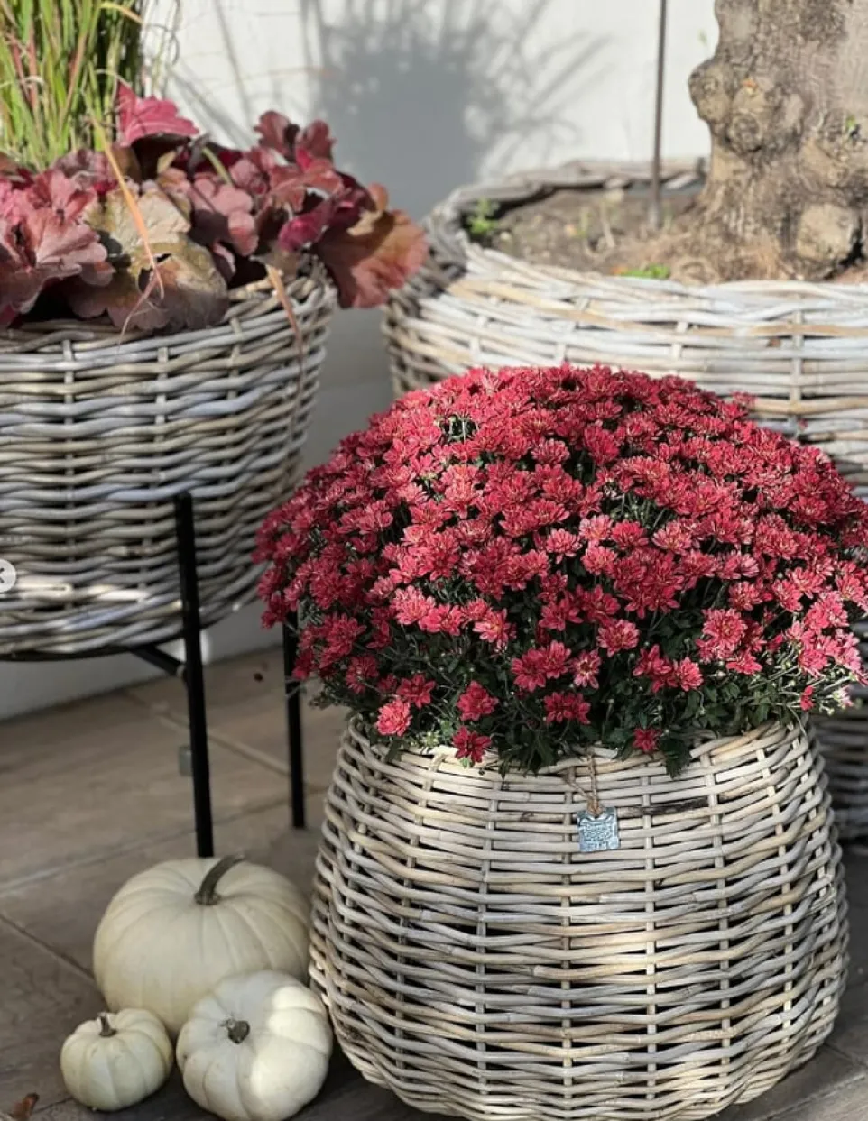 Gartentopf Drypot Tina