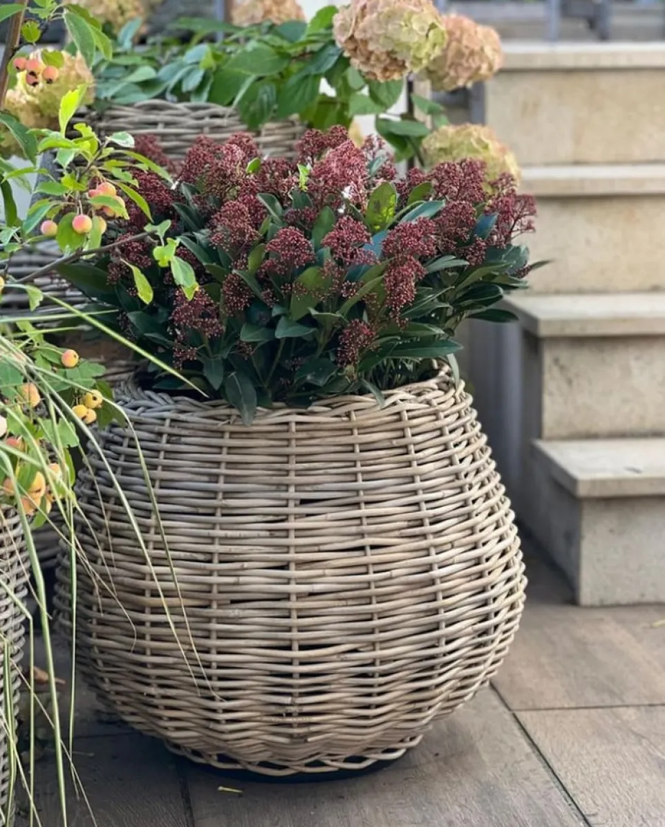 Gartentopf Drypot Tina