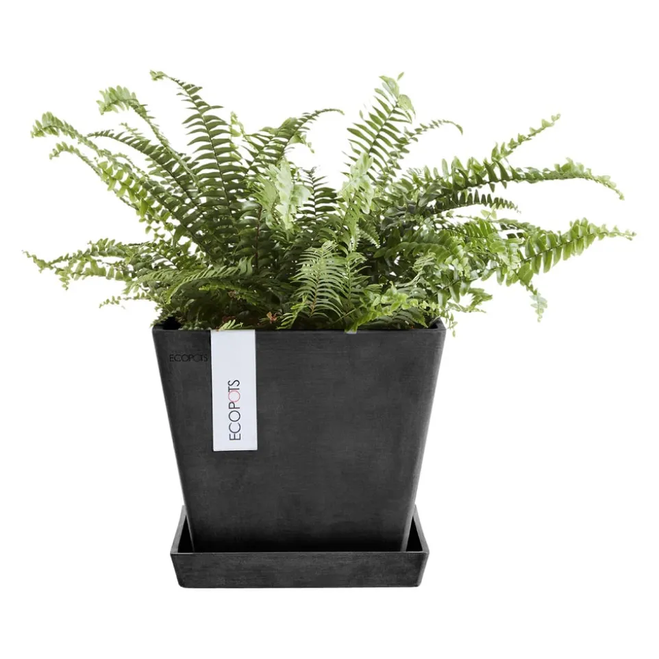 Gartentopf Rotterdam