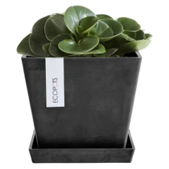 Gartentopf Rotterdam