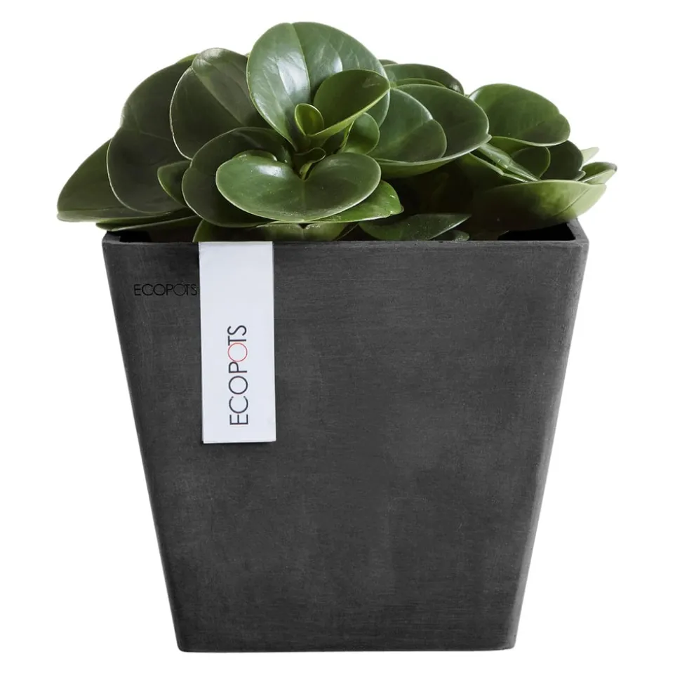 Gartentopf Rotterdam