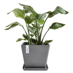 Gartentopf Rotterdam