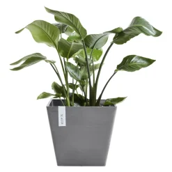 Gartentopf Rotterdam