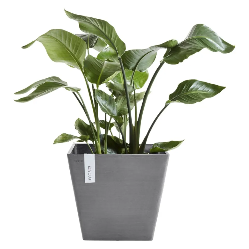 Gartentopf Rotterdam