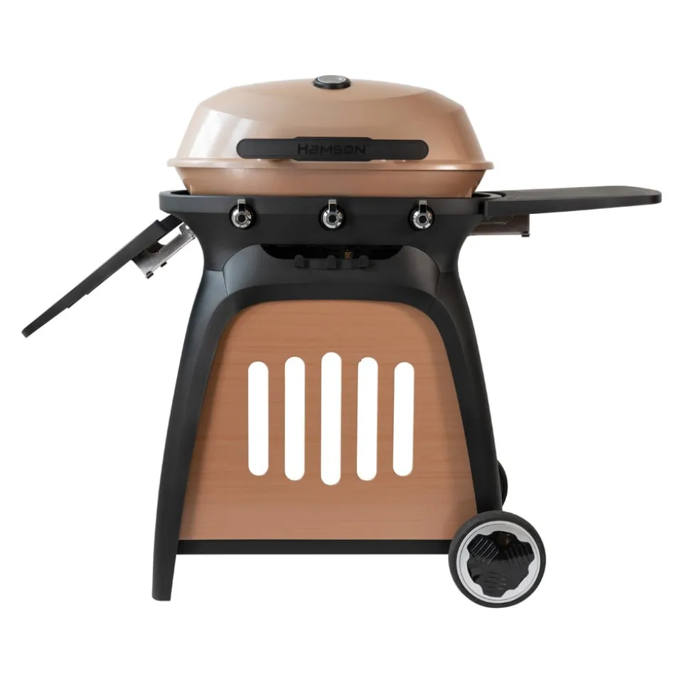Gasgrill Ryde 3
