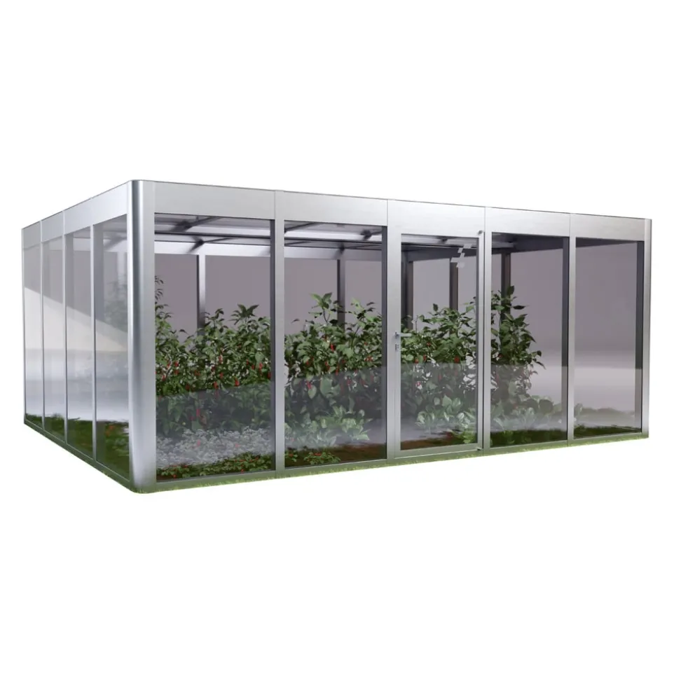 Gewächshaus Modern 5.4