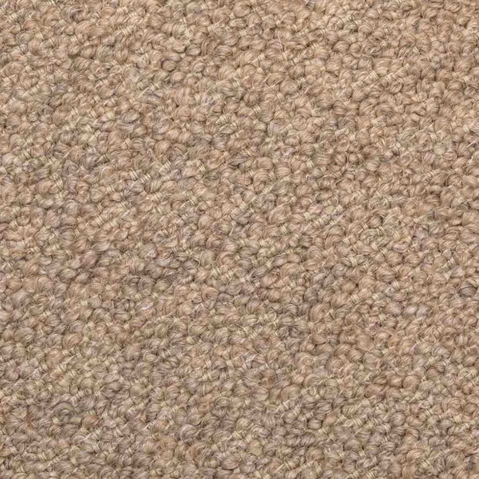 Lounge Element Studio