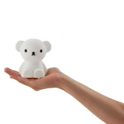 Nachtlicht Bundle Of Light