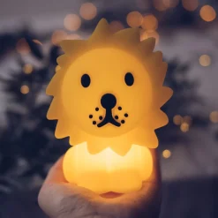 Nachtlicht Bundle Of Light