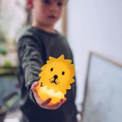 Nachtlicht Bundle Of Light