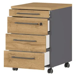 Rollcontainer Agenda