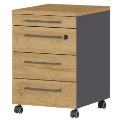 Rollcontainer Agenda