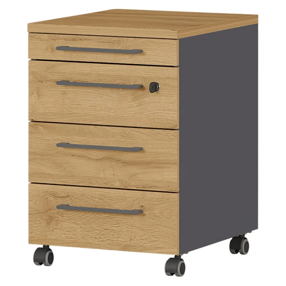 Rollcontainer Agenda