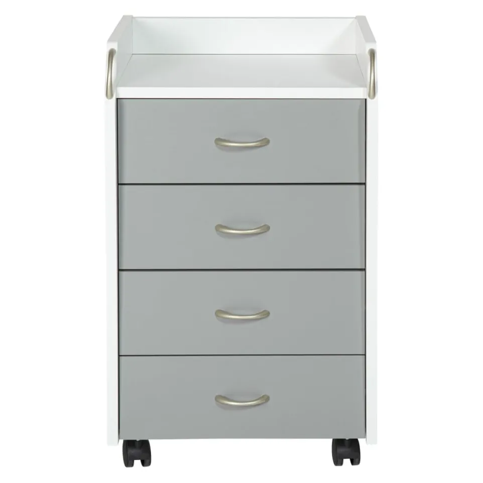 Rollcontainer Printi-105