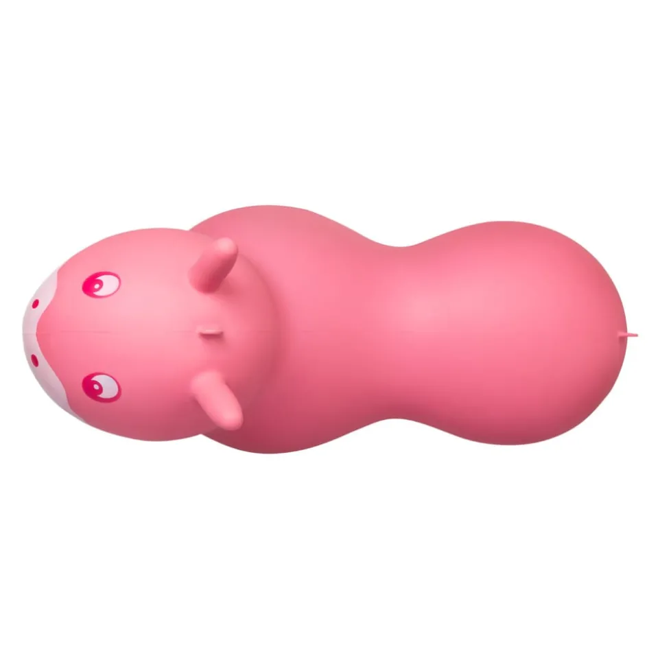 Rutschfahrzeug Air Hopper