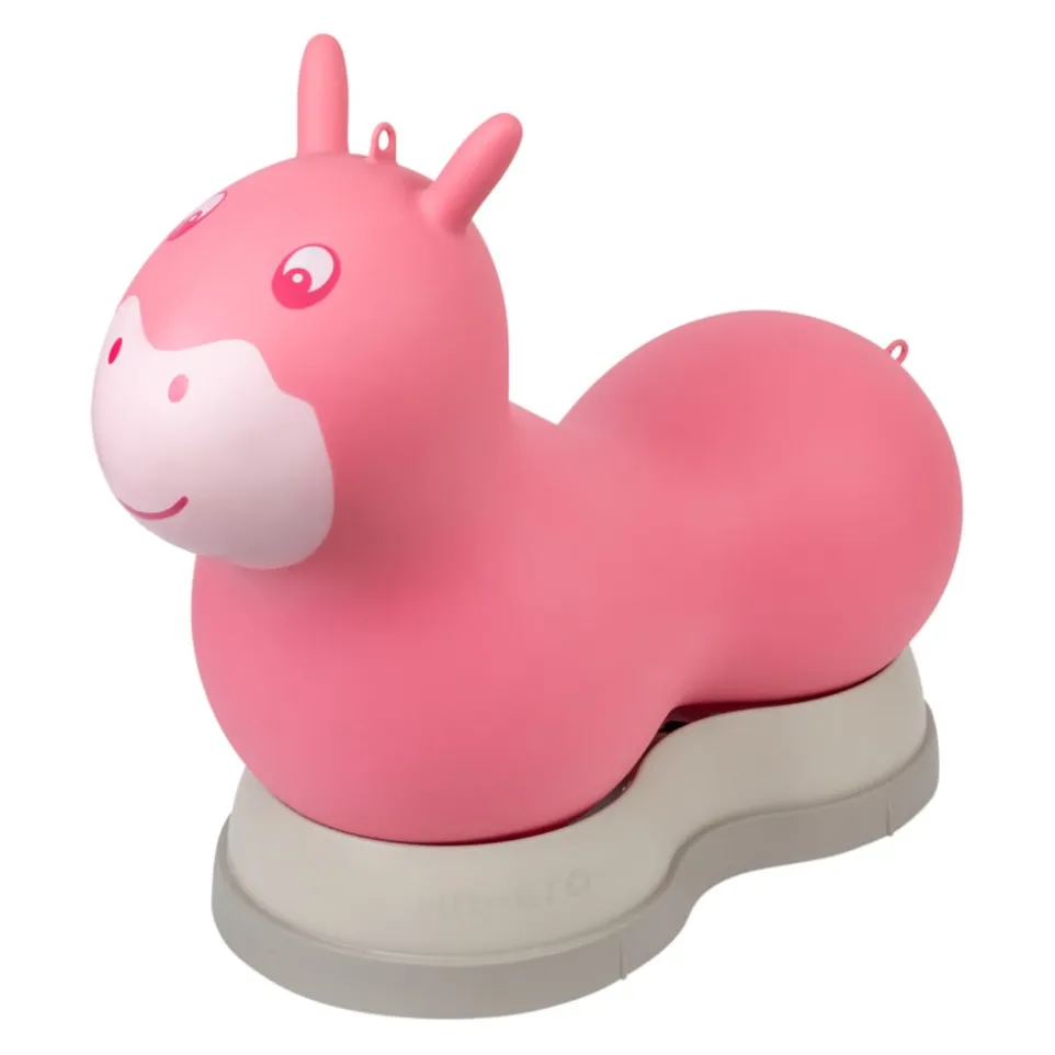 Rutschfahrzeug Air Hopper