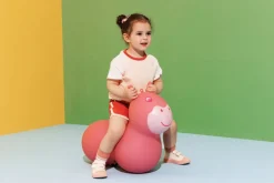 Rutschfahrzeug Air Hopper