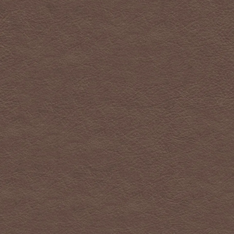 Sessel Fashion Clement