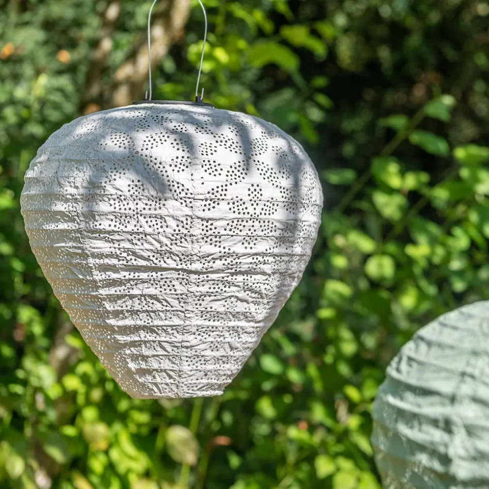 Solarlampion Solar Light