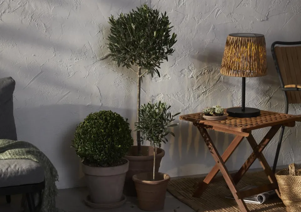 Solarleuchte Cesta Solar