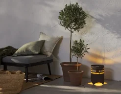 Solarleuchte Marron Solar