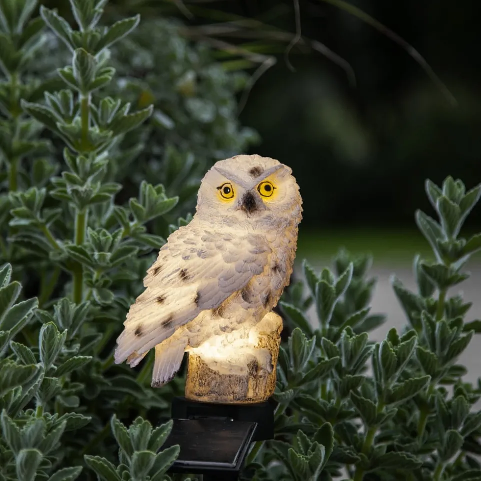 Solarleuchte Owl