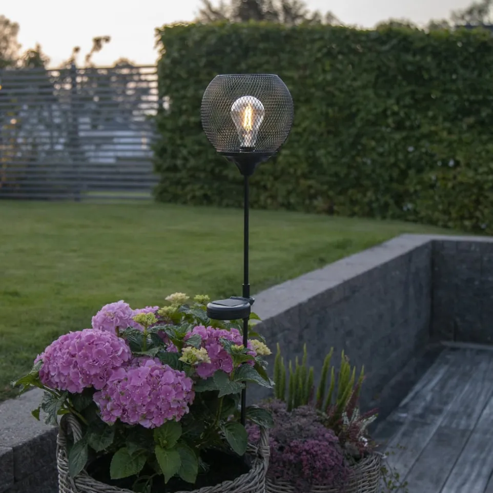 Solarleuchte Sunlight